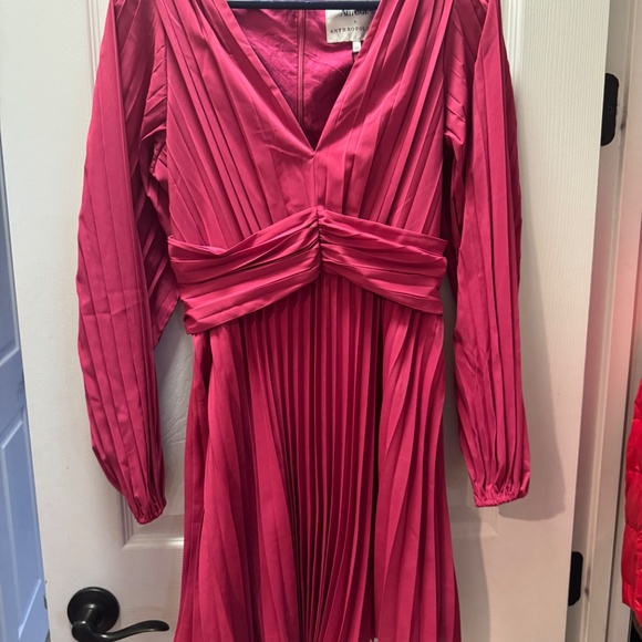 NWT XS Aureta by Anthropolgie raspberry dress - Picture 3 of 5